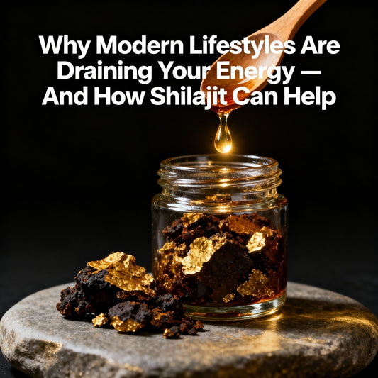 benefits of shilajit - healthibuds