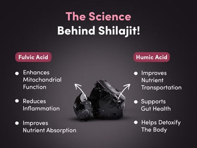 healthibuds shilajit benefits