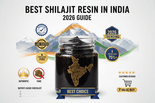 Best shilajit resin in India 2026 buying guide top brands