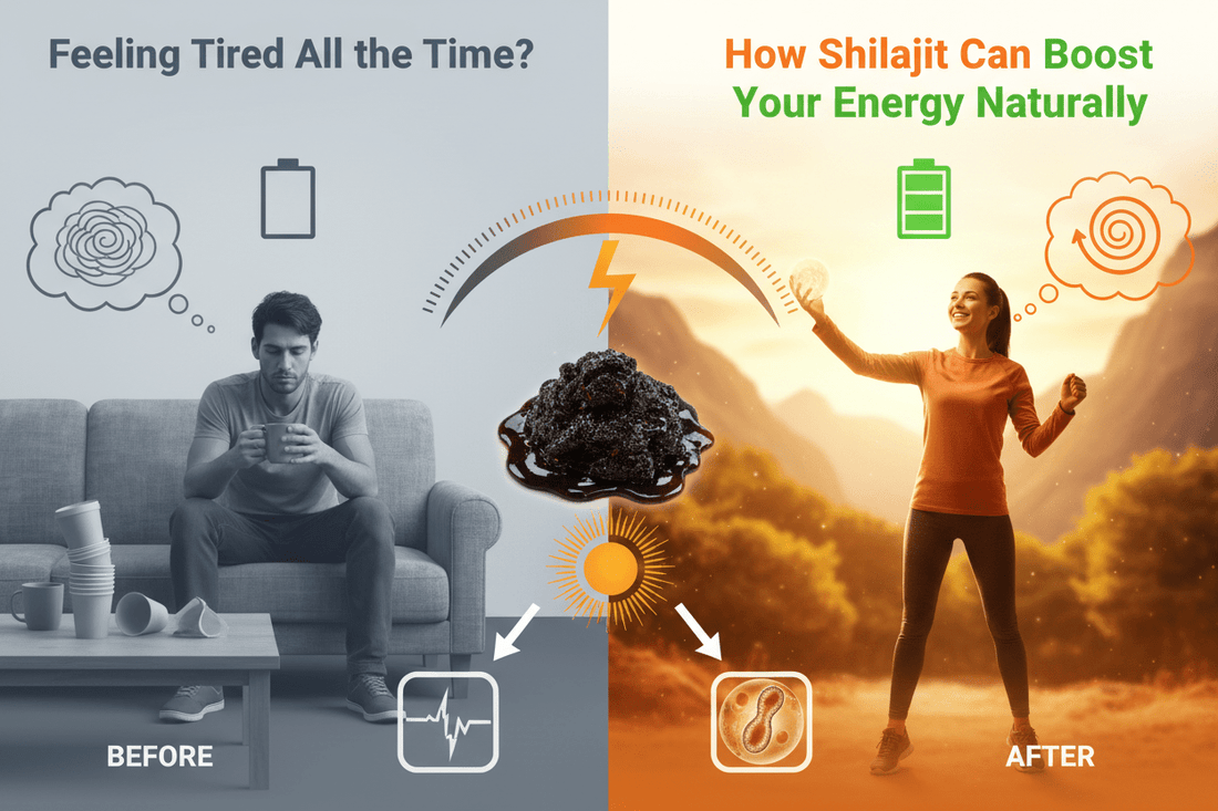 Feeling Tired All the Time? How Shilajit Can Boost Your Energy Naturally - Healthibuds