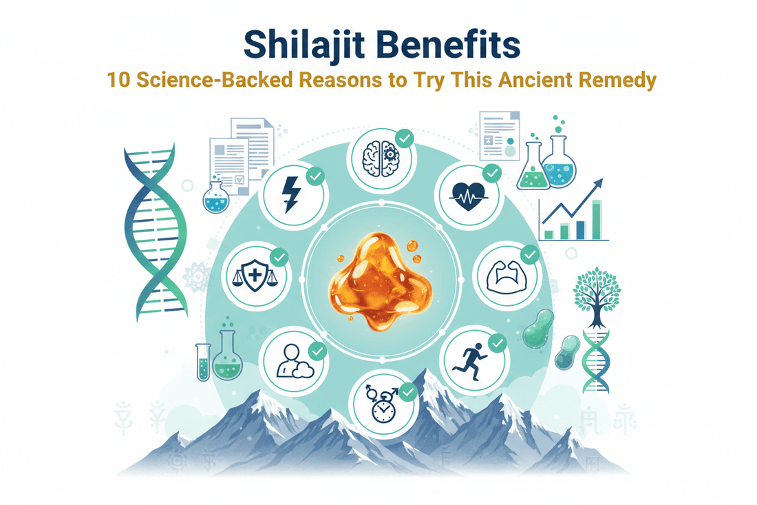Shilajit Benefits: 10 Science-Backed Reasons to Try This Ancient Remedy - Healthibuds
