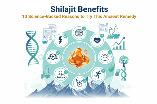 Shilajit Benefits: 10 Science-Backed Reasons to Try This Ancient Remedy - Healthibuds