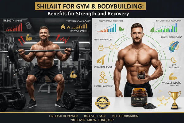 Shilajit for Gym & Bodybuilding: Benefits for Strength and Recovery