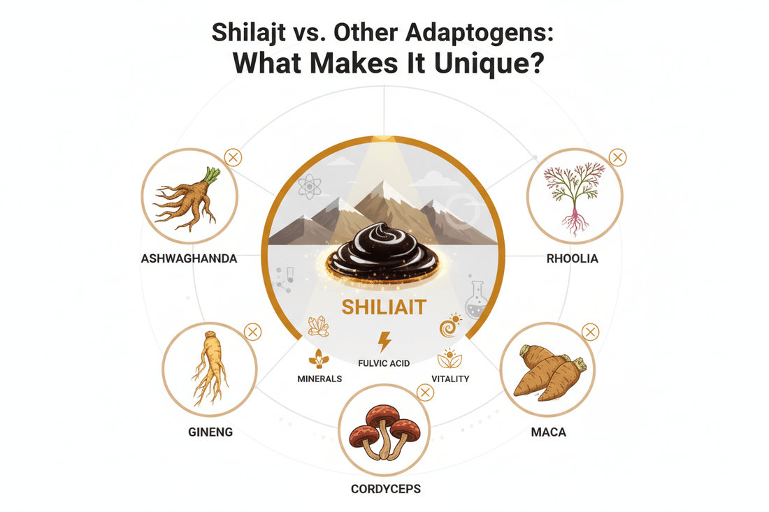 Shilajit vs. Other Adaptogens: What Makes It Unique? - Healthibuds