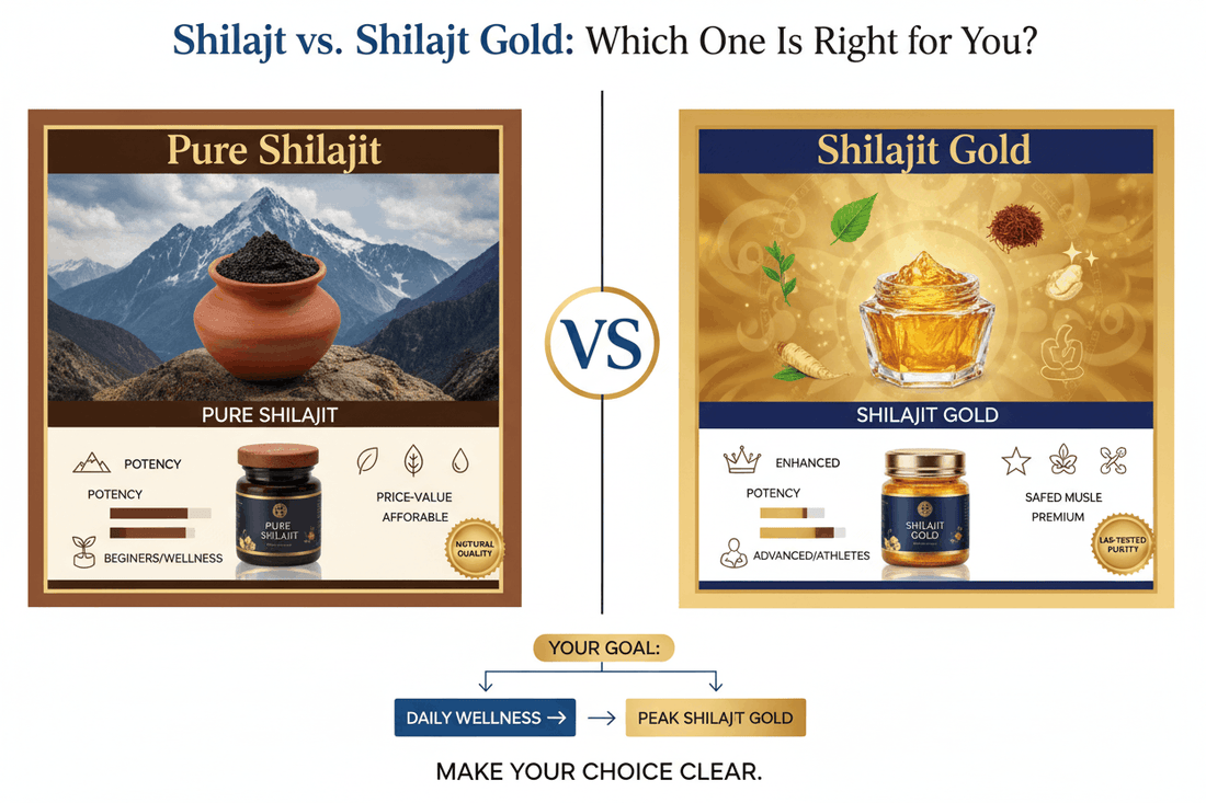 Shilajit vs shilajit gold comparison guide which one to choose
