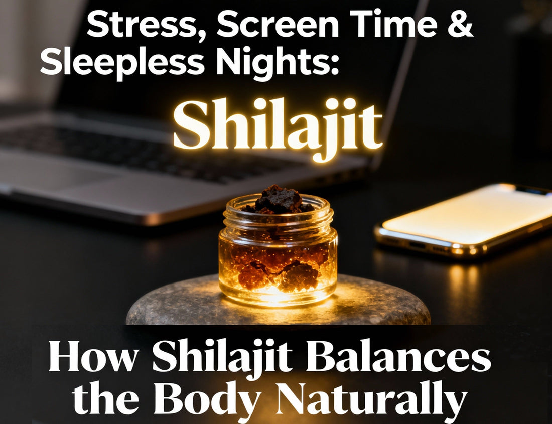 Stress, Screen Time & Sleepless Nights: How Shilajit Balances the Body Naturally - Healthibuds