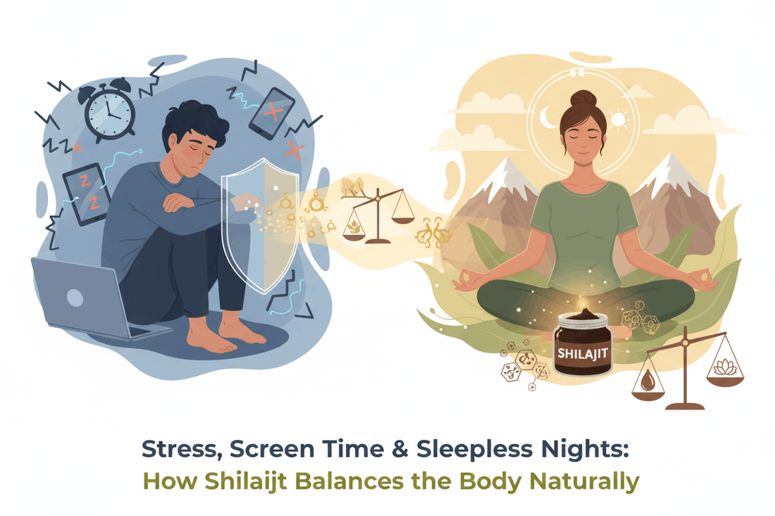 Stress, Screen Time & Sleepless Nights: How Shilajit Balances the Body Naturally - Healthibuds