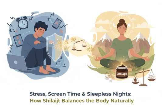 Stress, Screen Time & Sleepless Nights: How Shilajit Balances the Body Naturally - Healthibuds