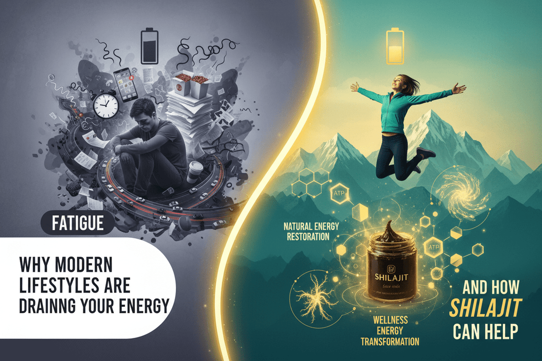 Why Modern Lifestyles Are Draining Your Energy – And How Shilajit Can Help - Healthibuds
