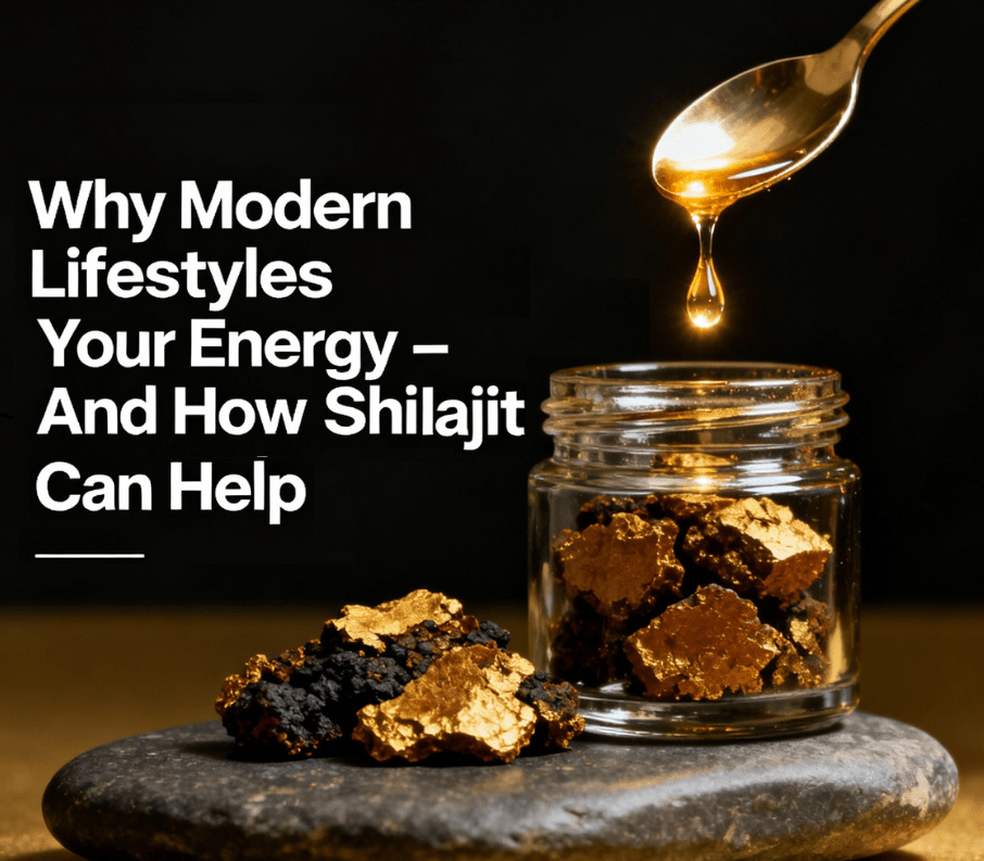 Why Modern Lifestyles Are Draining Your Energy – And How Shilajit Can Help - Healthibuds