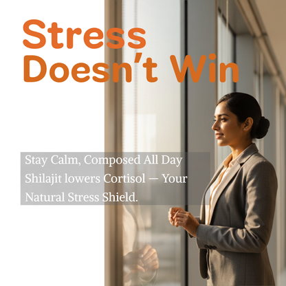 Shilajit Energy Gummies for Men Women
