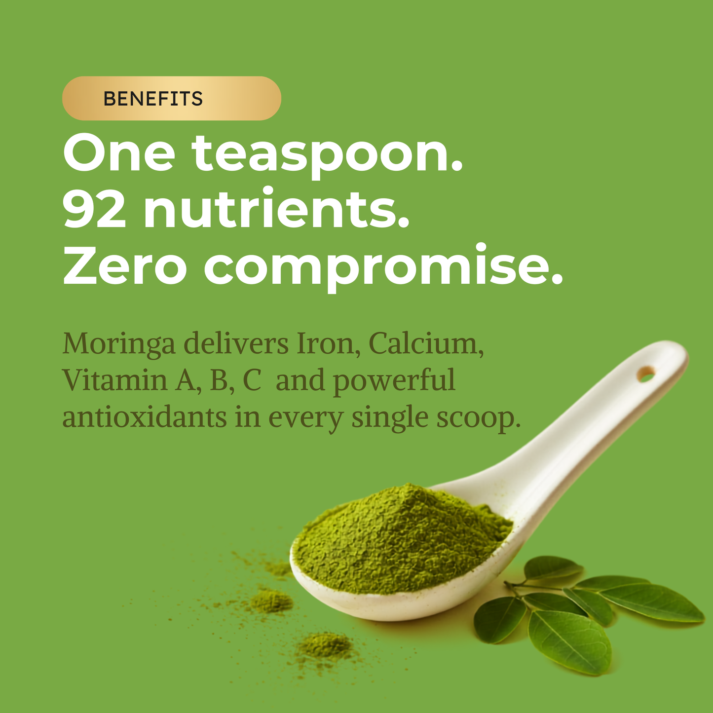 KINETQ™ Premium Moringa Leaf Powder | 100g Tin | Nature's Multivitamin