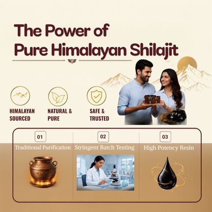 Promotional graphic for Himalayan Shilajit featuring the text 'The Power of Pure Himalayan Shilajit' on a beige background, with icons for 'Himalayan Sourced', 'Natural & Pure', and 'Safe & Trusted'. A man and woman are shown holding a small black box and a dark resin piece.