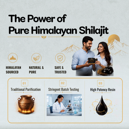 Promotional graphic for Himalayan Shilajit featuring the text 'The Power of Pure Himalayan Shilajit' on a light textured background. The design includes icons for 'Himalayan Sourced', 'Natural & Pure', and 'Safe & Trusted', alongside product imagery such as a copper pot, a scientist at a microscope, and a black resin droplet.