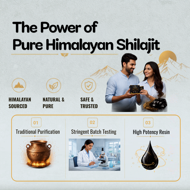 Promotional graphic for Himalayan Shilajit featuring the text 'The Power of Pure Himalayan Shilajit' on a light textured background. The design includes icons for 'Himalayan Sourced', 'Natural & Pure', and 'Safe & Trusted', alongside product imagery such as a copper pot, a scientist at a microscope, and a black resin droplet.