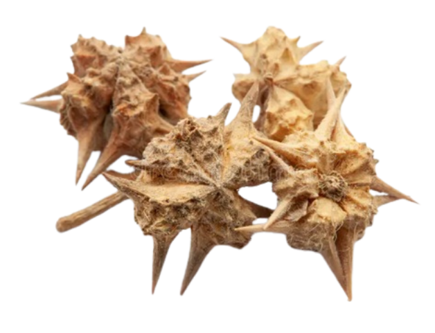 healthibuds shilajit gold resin 20gram