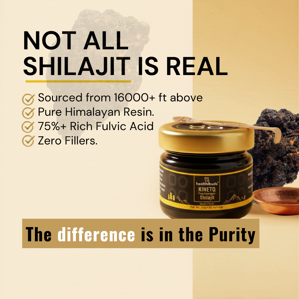 KINETQ Pure Himalayan Shilajit Resin