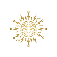 Brain Energy