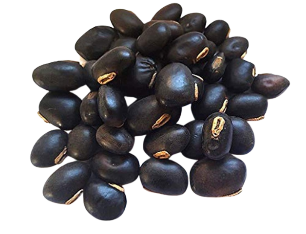 Healthibuds Shilajit Gold Resin 20g – All day energy 