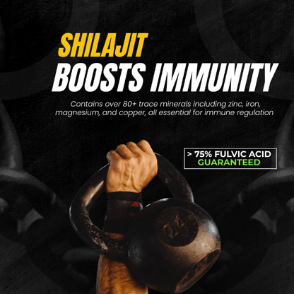 KINETQ Shilajit Wellness Duo - for Strength, Energy and Stress Adaptability - Healthibuds