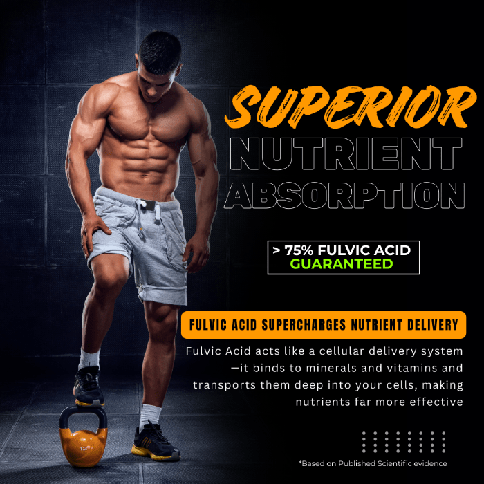 KINETQ Shilajit Wellness Duo - for Strength, Energy and Stress Adaptability - Healthibuds