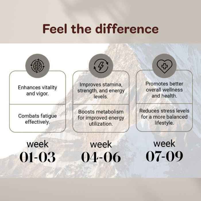 KINETQ 7 Herbs Shilajit Gold Resin Combo | For Mental Focus, Peak Performance & Stamina | Shilajeet for Men & Women