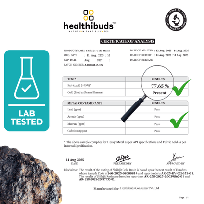 KINETQ Shilajit Wellness Duo - for Strength, Energy and Stress Adaptability - Healthibuds