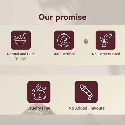 KINETQ Shilajit Wellness Duo for Enhanced Strength, Energy, and Stress Adaptability