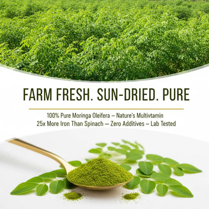 Moringa leaves and powder with text highlighting properties on a white background