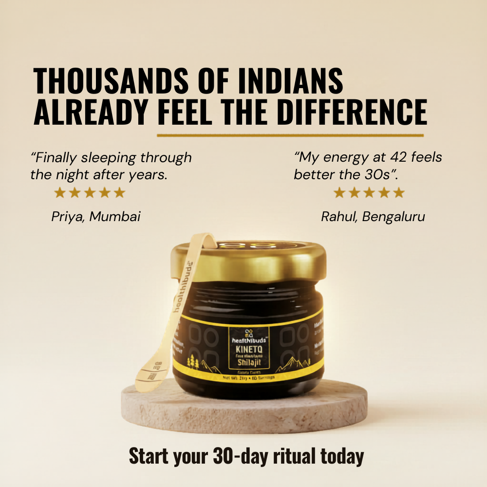 KINETQ Pure Himalayan Shilajit Resin