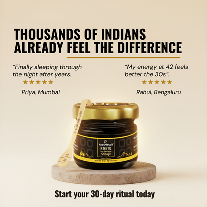 KINETQ Pure Himalayan Shilajit Resin