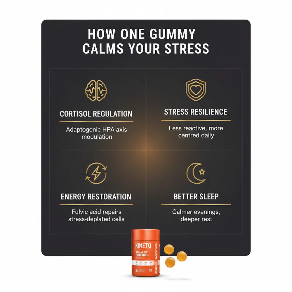 The Daily Calm | KINETQ Shilajit Gummies 30-Pack | Tangy Tamarind