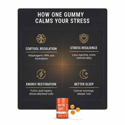 The Daily Calm | KINETQ Shilajit Gummies 30-Pack | Tangy Tamarind