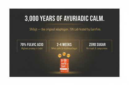 The Daily Calm | KINETQ Shilajit Gummies 30-Pack | Tangy Tamarind