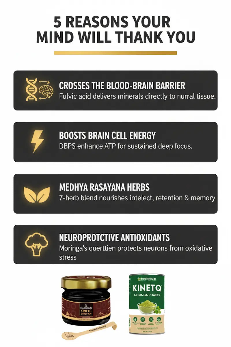 The Focus Ritual | Shilajit Gold Resin + Moringa 100g | Mental Clarity Combo