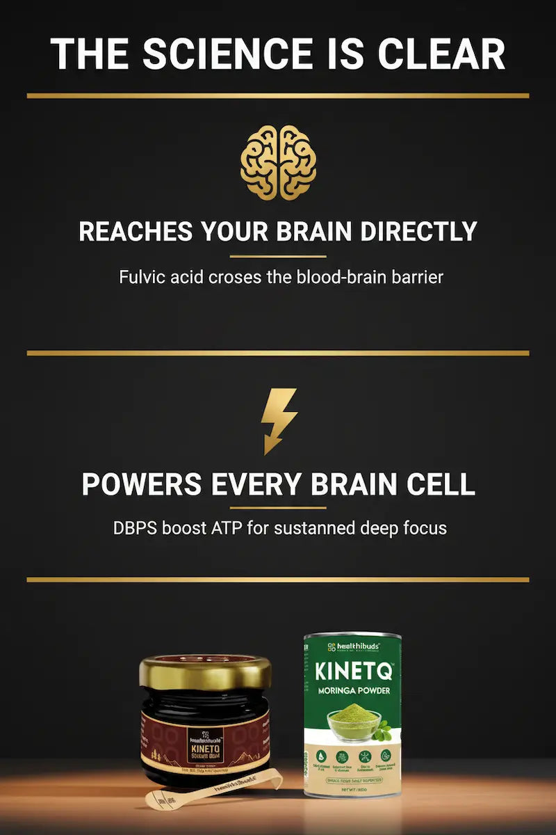 The Focus Ritual | Shilajit Gold Resin + Moringa 100g | Mental Clarity Combo