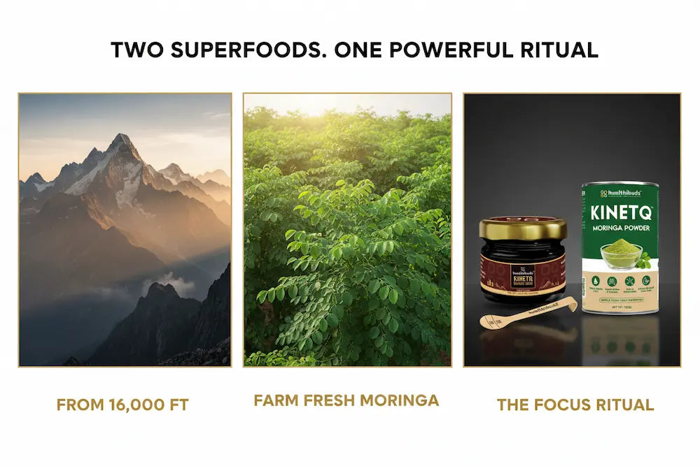 The Focus Ritual | Shilajit Gold Resin + Moringa 100g | Mental Clarity Combo