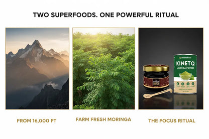 The Focus Ritual | Shilajit Gold Resin + Moringa 100g | Mental Clarity Combo