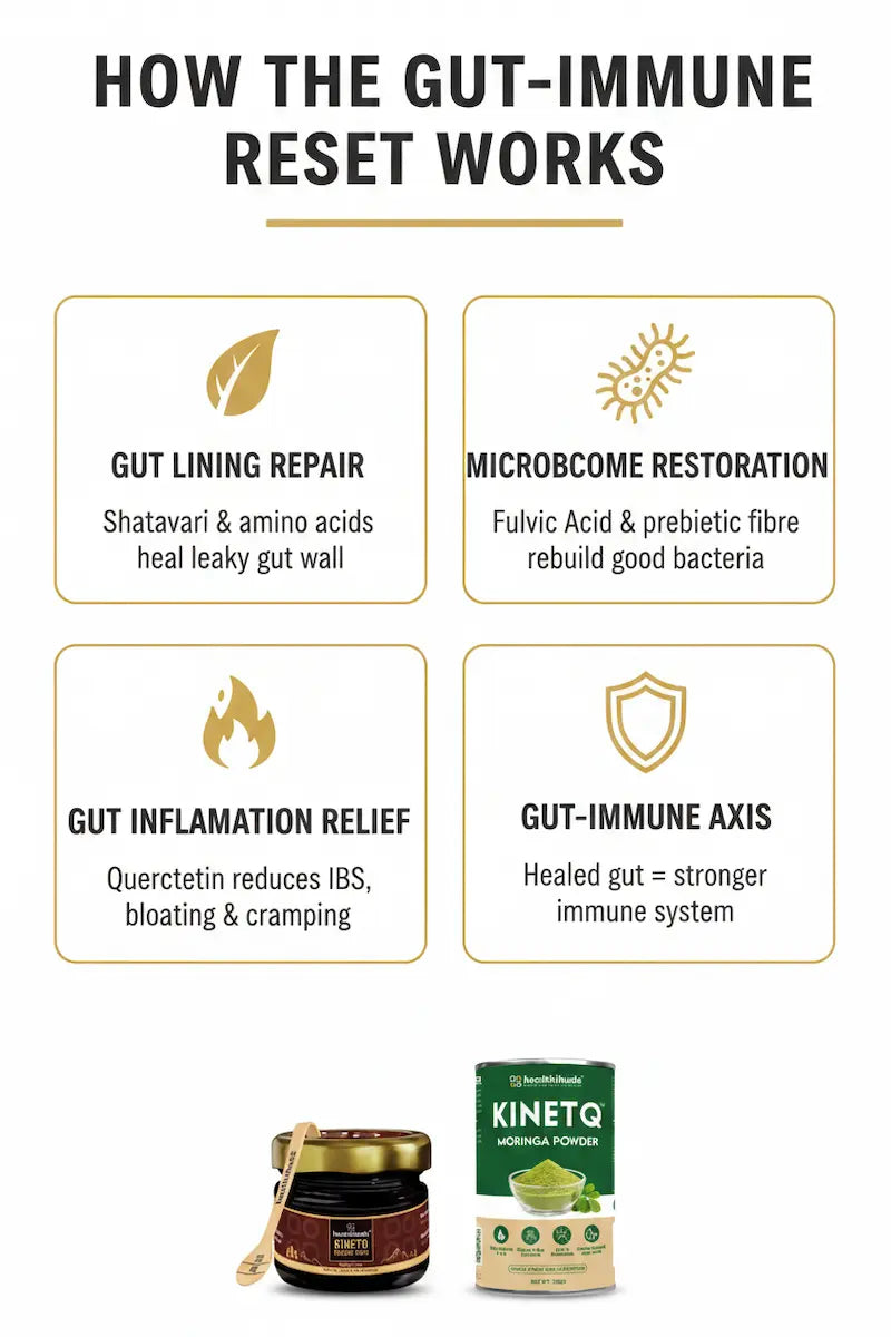 The Gut-Immune Reset | Shilajit Gold Resin + Moringa 100g | Gut Health & Immunity Combo