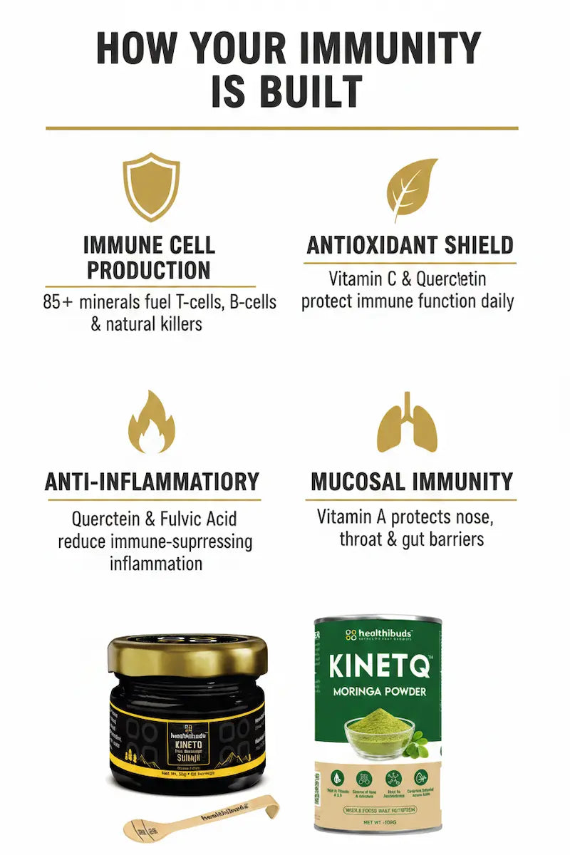 The Immunity Foundation | Shilajit Resin + Moringa 100g | Immunity Booster Combo