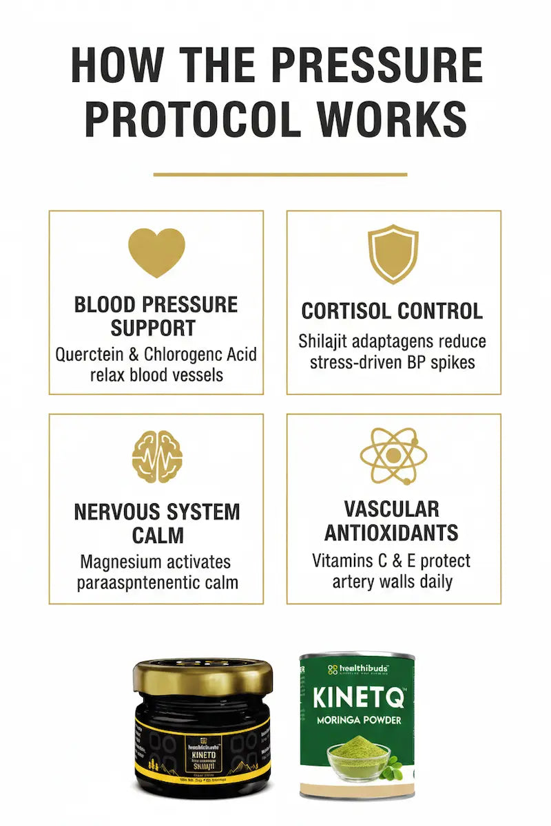 The Pressure Protocol | Shilajit Resin + Moringa 100g | Blood Pressure & Stress Support Combo