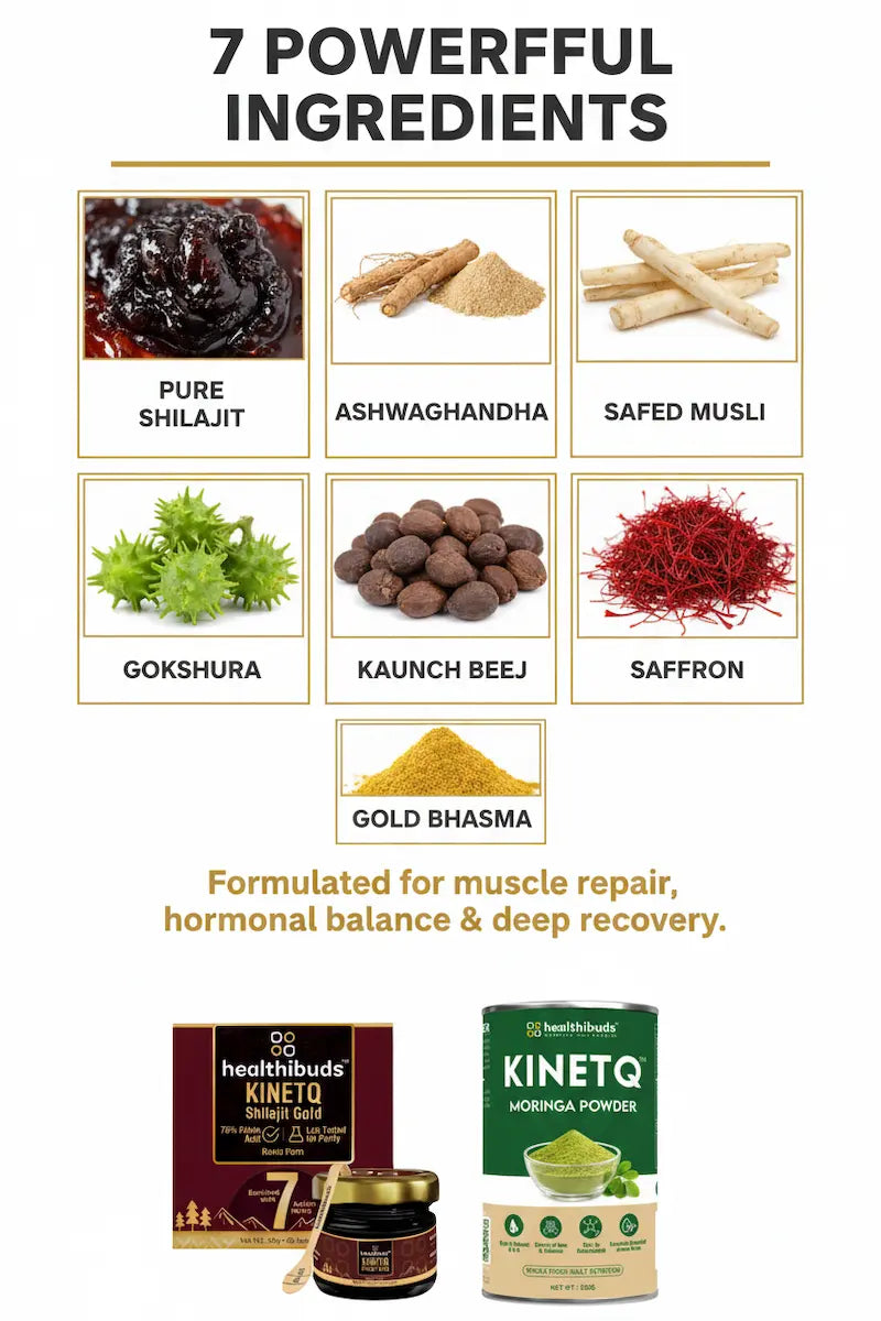 The Recovery Pack | Shilajit Gold Resin + Moringa 100g | Post-Workout Recovery Combo