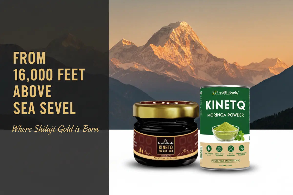 The Stamina Ritual | Shilajit Gold Resin + Moringa 100g