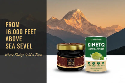 The Stamina Ritual | Shilajit Gold Resin + Moringa 100g