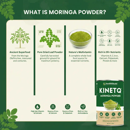 Infographic about Moringa powder with text and images on a green background